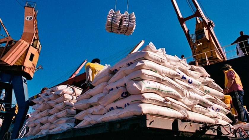 Precio provisorio del arroz quedó en US$ 10 por bolsa en Uruguay
