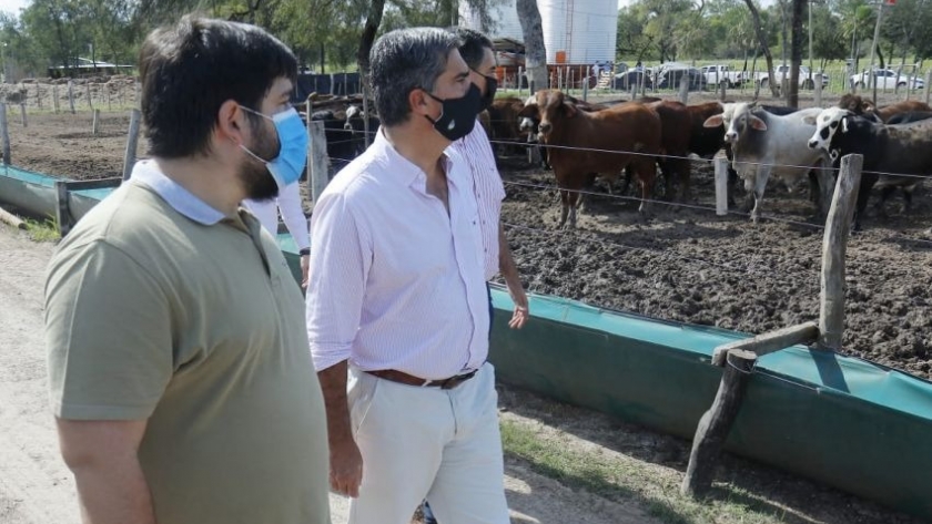 Plan ganadero 2030: avanza la implementación de siete centros de recría y engorde para terneros