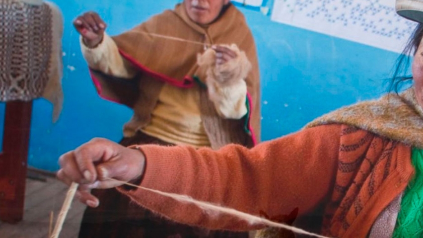 Conoce el exitoso empoderamiento de las mujeres rurales en el rescate de la alpaca Suri