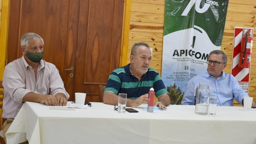 Misiones: empresarios y productores debatieron sobre escenarios del mercado forestal, exportaciones y precios de la materia prima