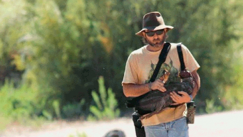 Recorre miles de kilómetros para proteger al águila del Chaco
