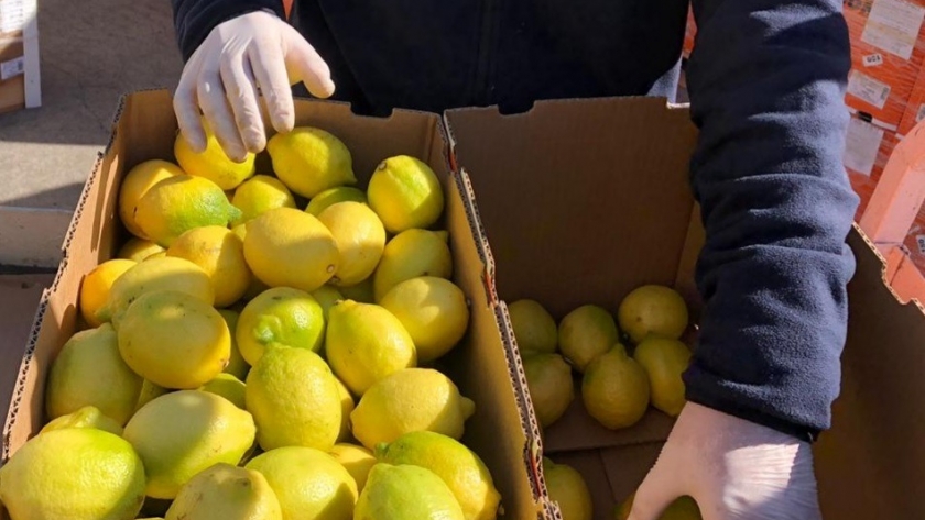 Argentina exportó frutas frescas cítricas desde puertos bonaerenses a Rusia