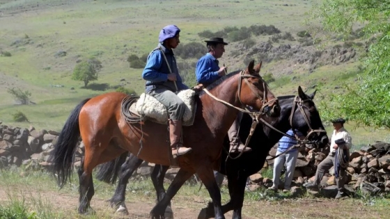 Oportunidad: Argentina reanuda exportación de caballos a Chile