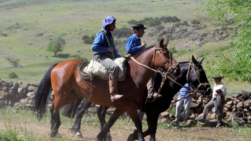 Oportunidad: Argentina reanuda exportación de caballos a Chile