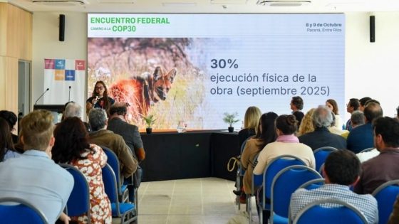 Misiones se destacó en el Encuentro Federal rumbo a la COP30 por sus avances en acción climática