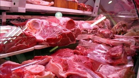 Exportadores de carne proponen ajustes para recuperar competitividad en Argentina