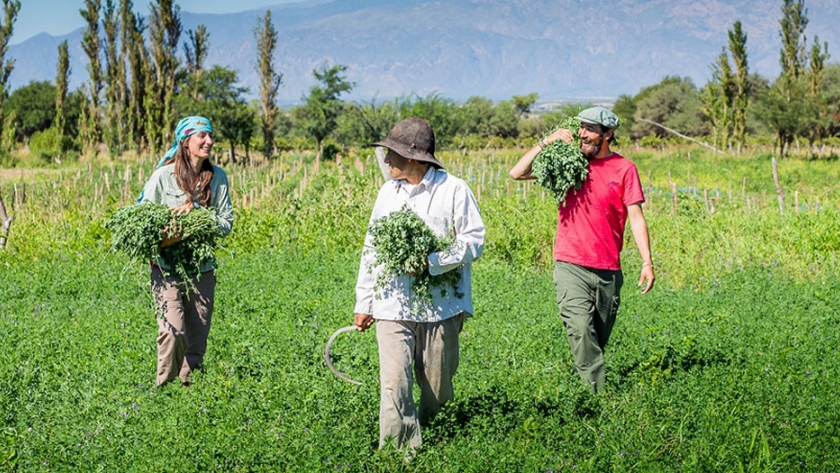 El turismo que viene: Salta invita a una experiencia inolvidable con comunidades rurales