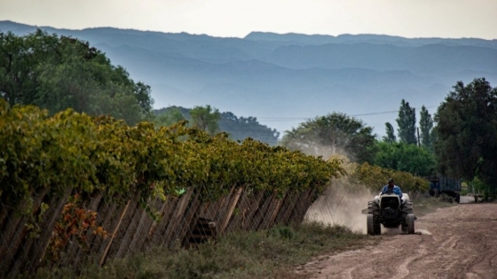 El vino argentino amplía su medición de huella de carbono para potenciar exportaciones