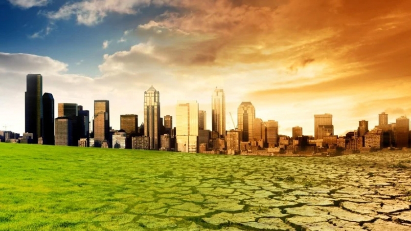 Economía Verde: Combatir el Cambio Climático y Promover la Inclusión Social