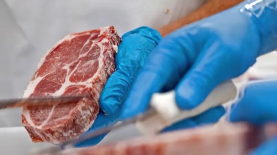 La ganadería argentina apunta a animales más pesados y de mayor calidad para la industria