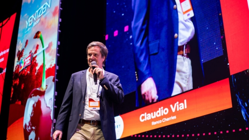 Claudio Vial: el desafío clave del mercado de cerezas