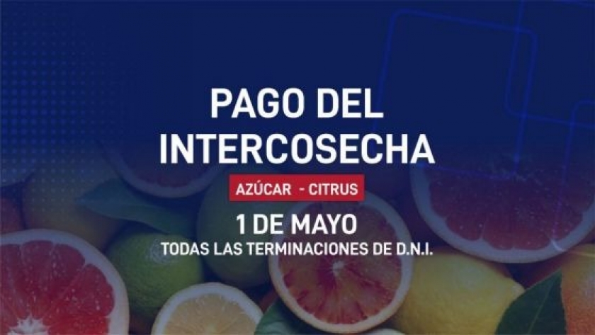 Inicia el pago del programa Intercosecha