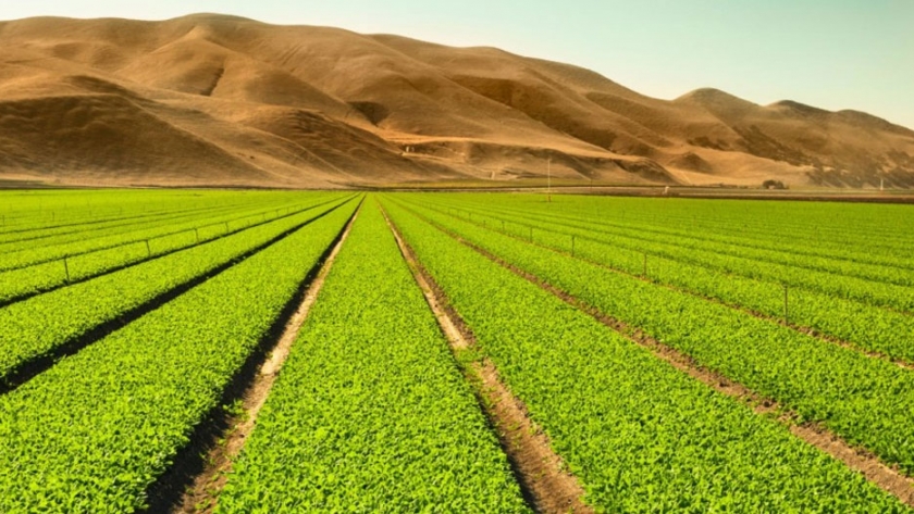 SECITI e INTA firman convenio de cooperación para la realización de proyectos agropecuarios