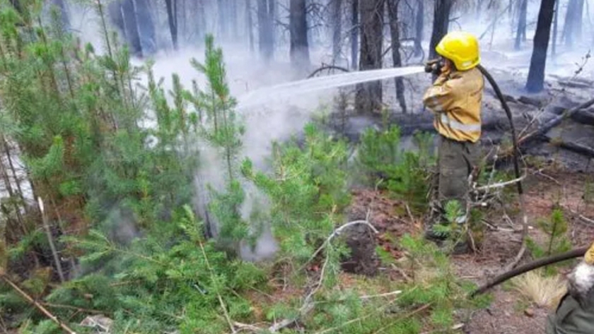 Se redujeron a dos las provincias con incendios forestales activos