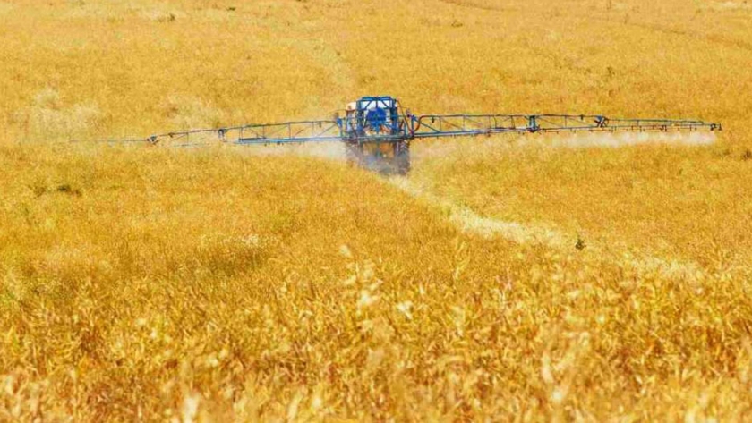 Un nuevo pesticida natural logra eliminar plagas y patógenos mediante moléculas que "silencian" sus genes