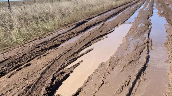 “Estamos hartos”: convocaron a una asamblea en contra del inmobiliario rural y las tasas viales en Buenos Aires