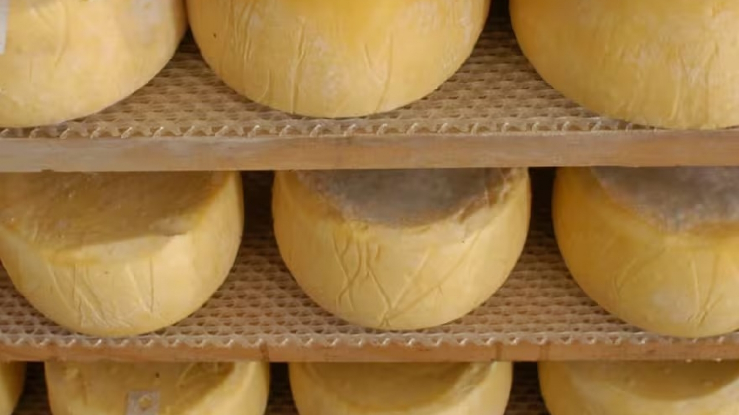 El queso de Tafí del Valle logra la primera Indicación Geográfica para un lácteo argentino