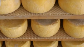 El queso de Tafí del Valle logra la primera Indicación Geográfica para un lácteo argentino