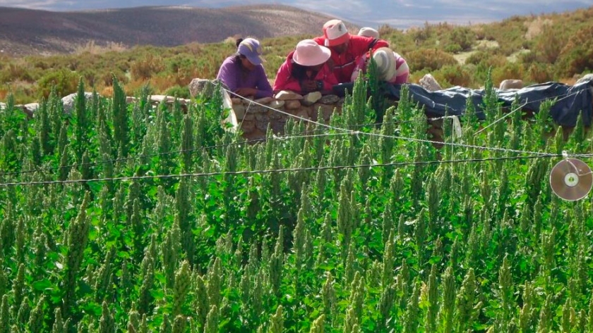 Salta: Empresa minera reafirma su compromiso social en Santa Rosa de los Pastos Grandes