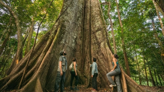 Los 5 destinos de turismo sostenible en la Amazonía