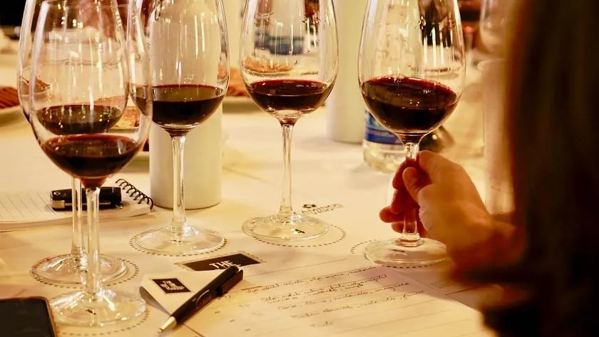 Los enólogos eligen los 10 mejores vinos argentinos del 2023