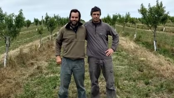 “Es dar el paso”: están en el sur de Buenos Aires y revolucionan la zona con una producción de almendras