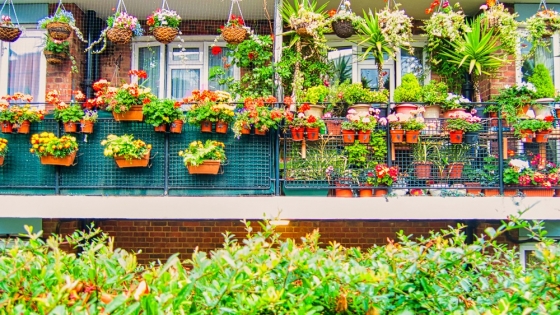 Jardineras Colgantes transforman las calles y zonas urbanas gracias a su belleza floral