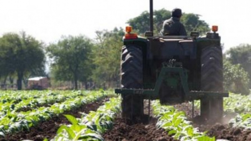 Trabajadores agrarios: cuánto cobran según el aumento de julio