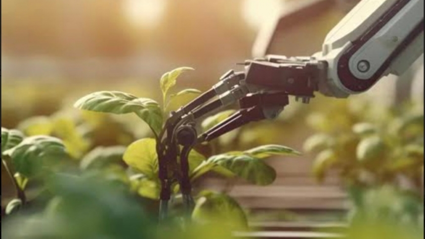 ¡Oportunidades para startups en el acelerador agroalimentario GLOCAL Game Changers 2024!