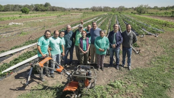 Emprendimiento Productivo de Colonia Benítez apuesta al desarrollo de la agricultura familiar con apoyo estatal