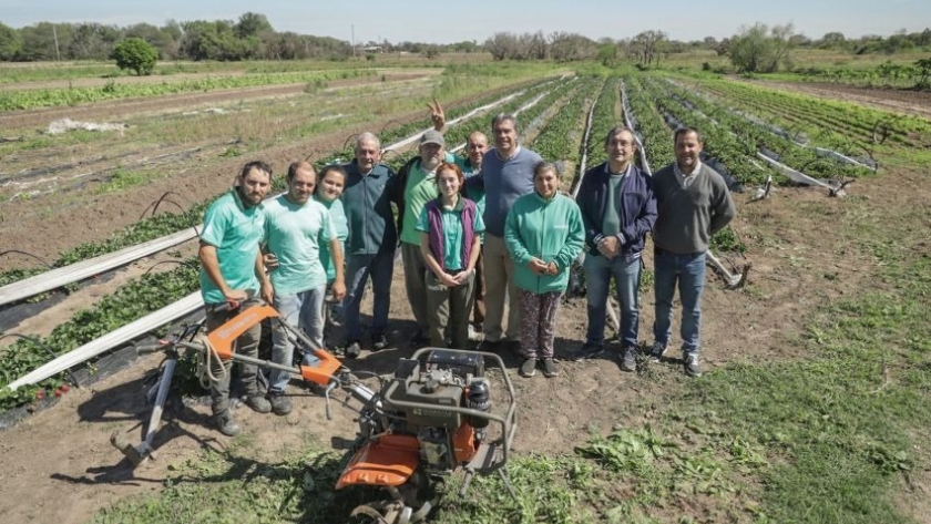 Emprendimiento Productivo de Colonia Benítez apuesta al desarrollo de la agricultura familiar con apoyo estatal