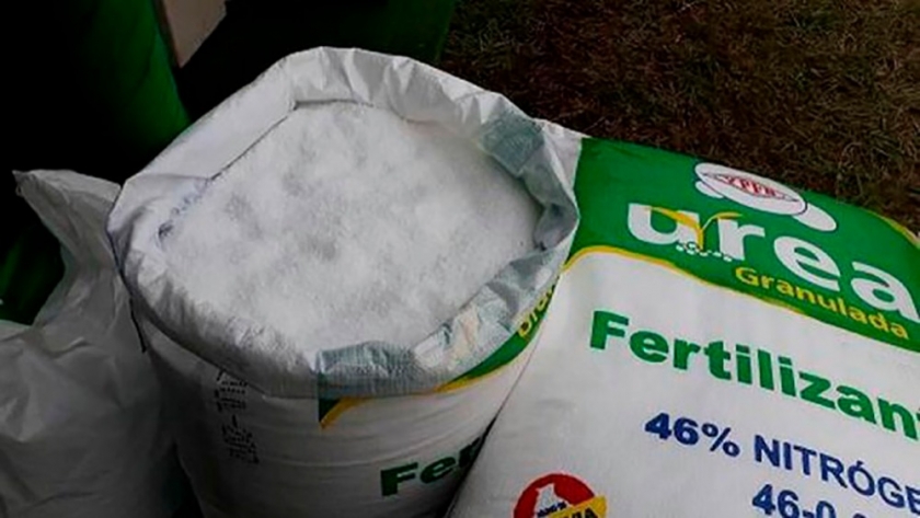 Energía cara y biocombustibles impulsan la soja y reconfiguran la siembra mundial