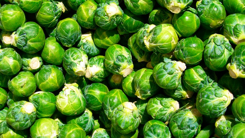 Cultiva y cocina repollitos de Bruselas 