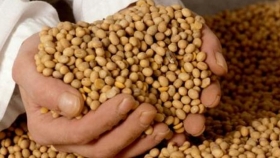 Pese a la cosecha histórica, Argentina le tuvo que comprar soja a Paraguay