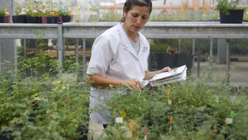 Se realizó la cuarta mesa de innovación en biotecnología agropecuaria