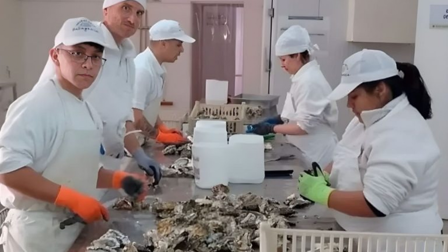 Especies invasoras: dos modelos opuestos marcan el rumbo ambiental entre Argentina y Estados Unidos