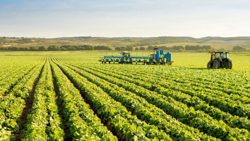Los tres pedidos más importantes del campo al nuevo gobierno