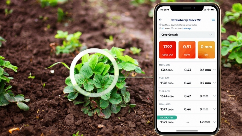 Índice Verde: una herramienta para el monitoreo de la vegetación y la toma de decisiones