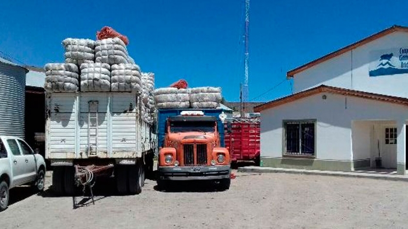 Carlos Mardones integra una cooperativa ovina en Ingeniero Jacobacci: Unidos lograron vender su lana en tiempo de coronavirus