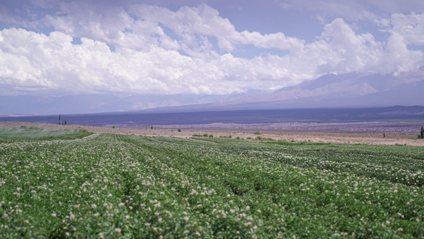 Brindarán una capacitación para cultivo de forrajeras en Jáchal