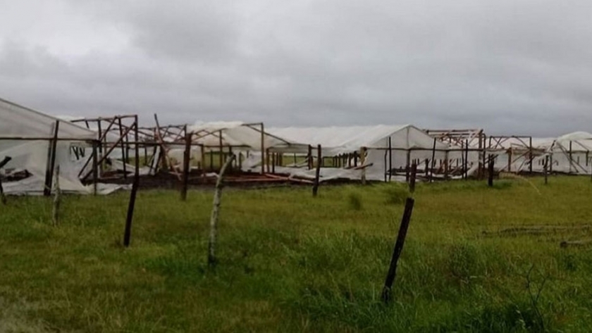 Se declaró la emergencia agropecuaria para cuatro departamentos de Corrientes