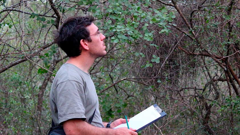 Para explicar la deforestación del Chaco hay que estudiar los comportamientos humanos
