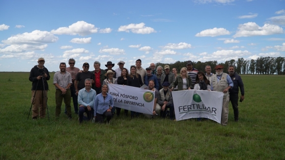 Nutrir las pasturas para mejorar la productividad ganadera y la calidad de la carne