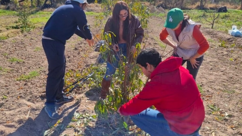 El INTA Santiago del Estero contribuye a la producción frutícola
