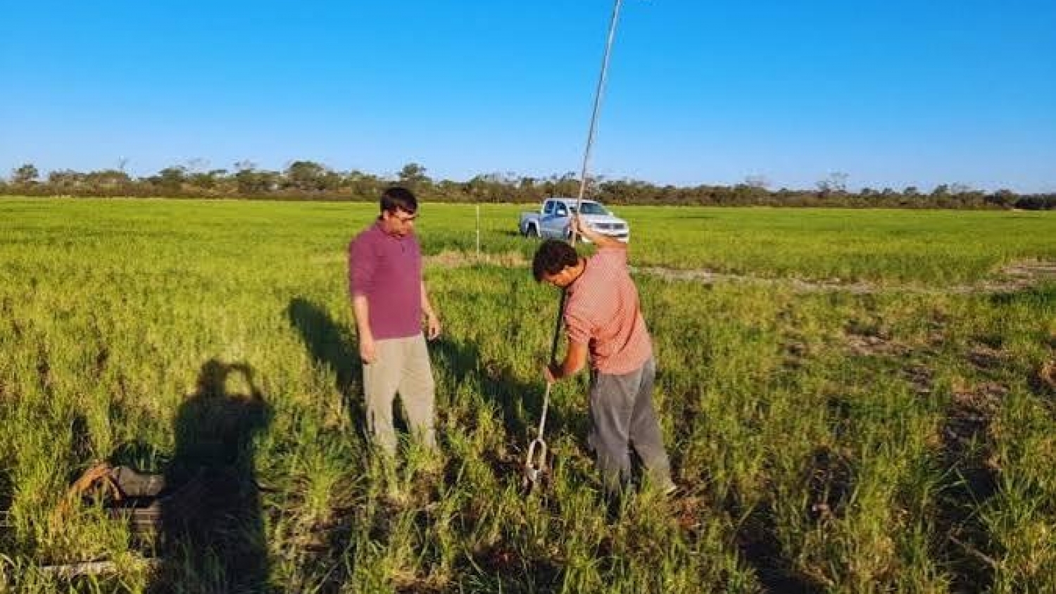 Campaña 2026/27: hay agua para altos rindes, pero el manejo será clave para evitar excesos