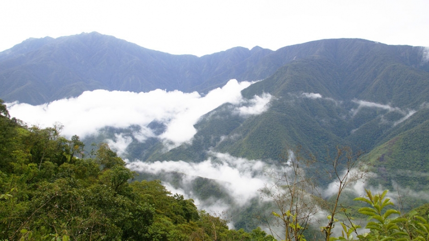 Descubrí la experiencia Metán Natural