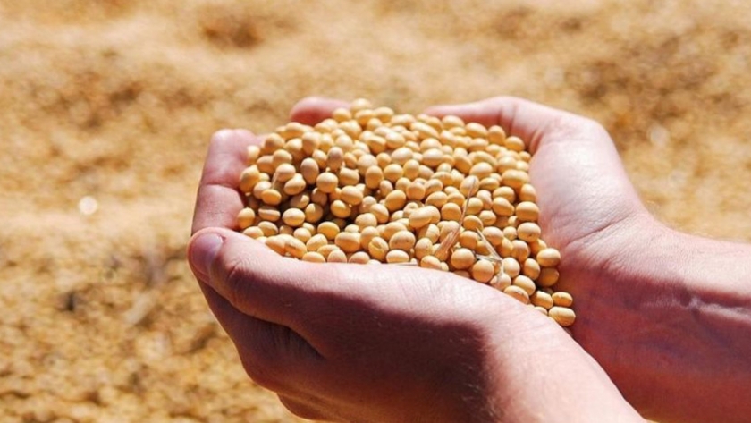 Experto pide diversificar producción en el chaco para mayor desarrollo