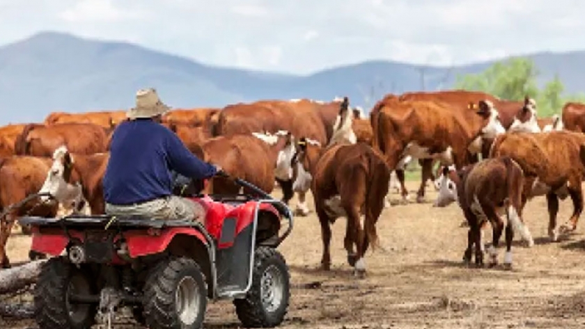 Australia, el país que dio vuelta las adversidades 