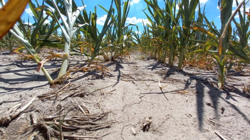 La provincia implementa una línea de financiamiento para productores afectados por la sequía