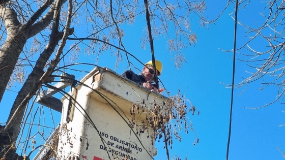 Luz LED para el futuro: el Programa Luz Verde llegó al Barrio Santa Teresa de Rojas